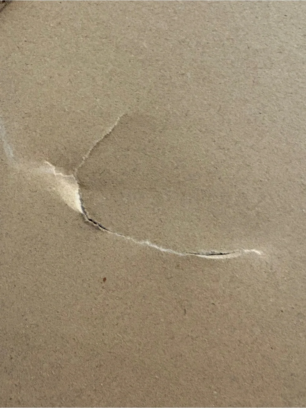 New BP Home Textile Embroidered Woven Wall Art Hanging House Plants 17” X 21”
